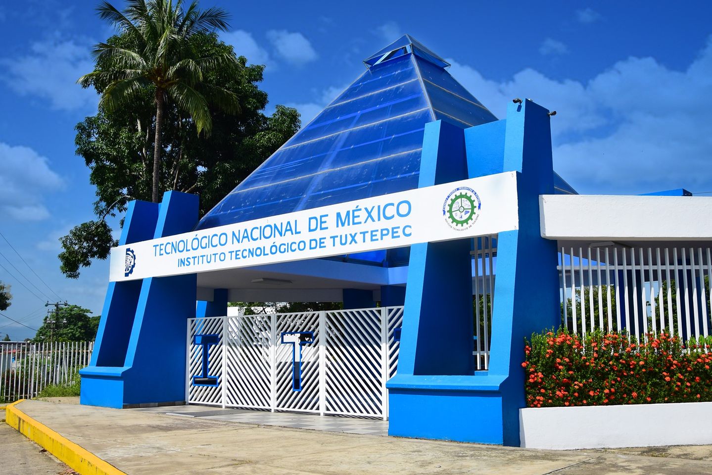 Universidad